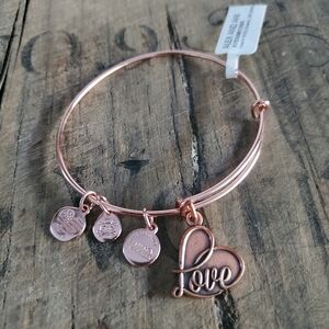 ALEX AND‎ ANI Women's Path Of Symbols Love IV Rose Gold Charm Bangle | Bracelet
